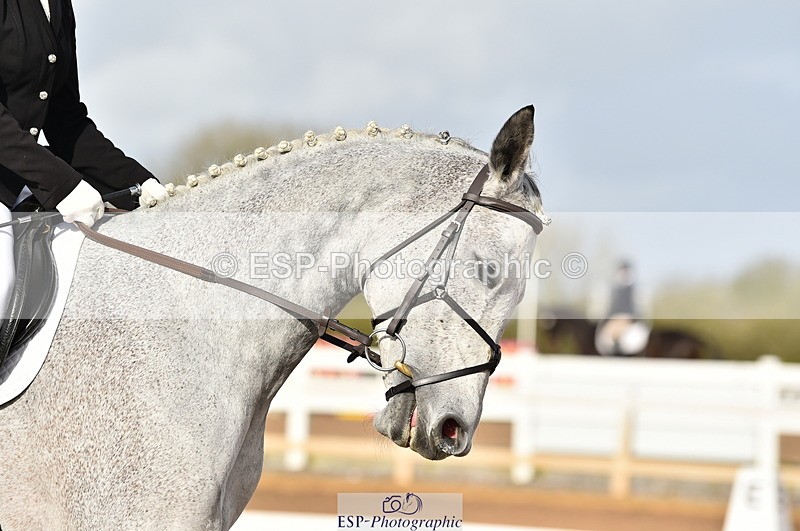 231104A-115718-01639 - Cls 5 Novice 37A