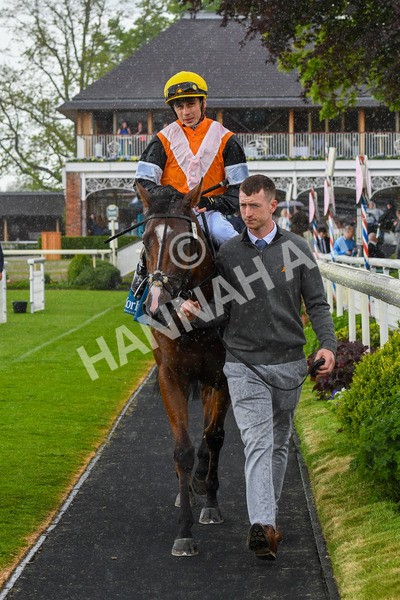 190523-Race 2-Sounds Of Heaven-0372 - Race 2 2.25pm Oaks Farm Stables Fillies' Stakes
