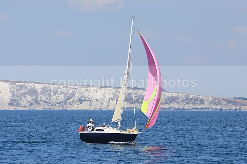 180707 TUDOR ROSE GBR1380R 1Y3A0224_Edit - 170701 TUDOR ROSE GBR1380R