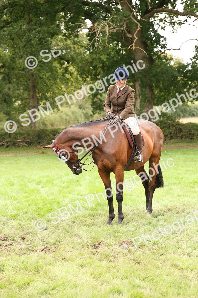 SBM_64268 - S65 - Riding Horse & Hack & Thoroughbred Ridden