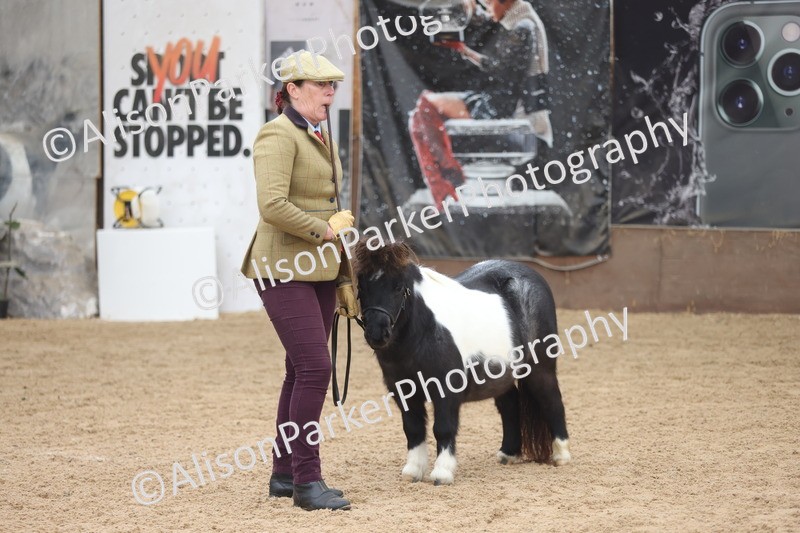 20251109-0243 - Class 11 - 2 and 3 Year Old