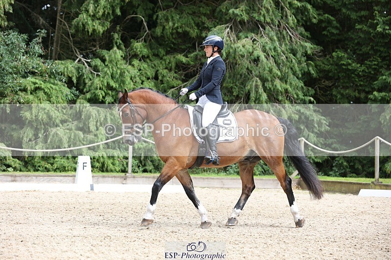 230812-151255-05082 - Cls 5 Novice Bronze 15.00 to End