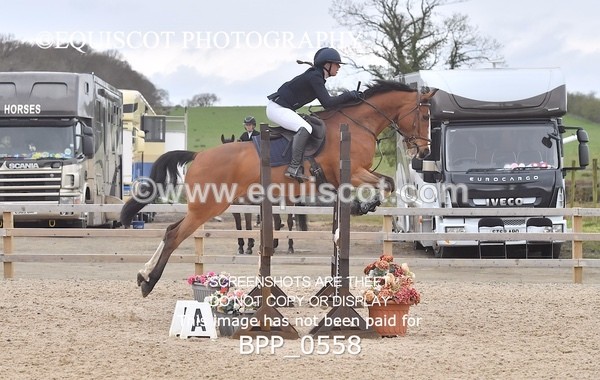 BPP_0558 - CLASS 4 Senior BritiNovice/ 90cm Open