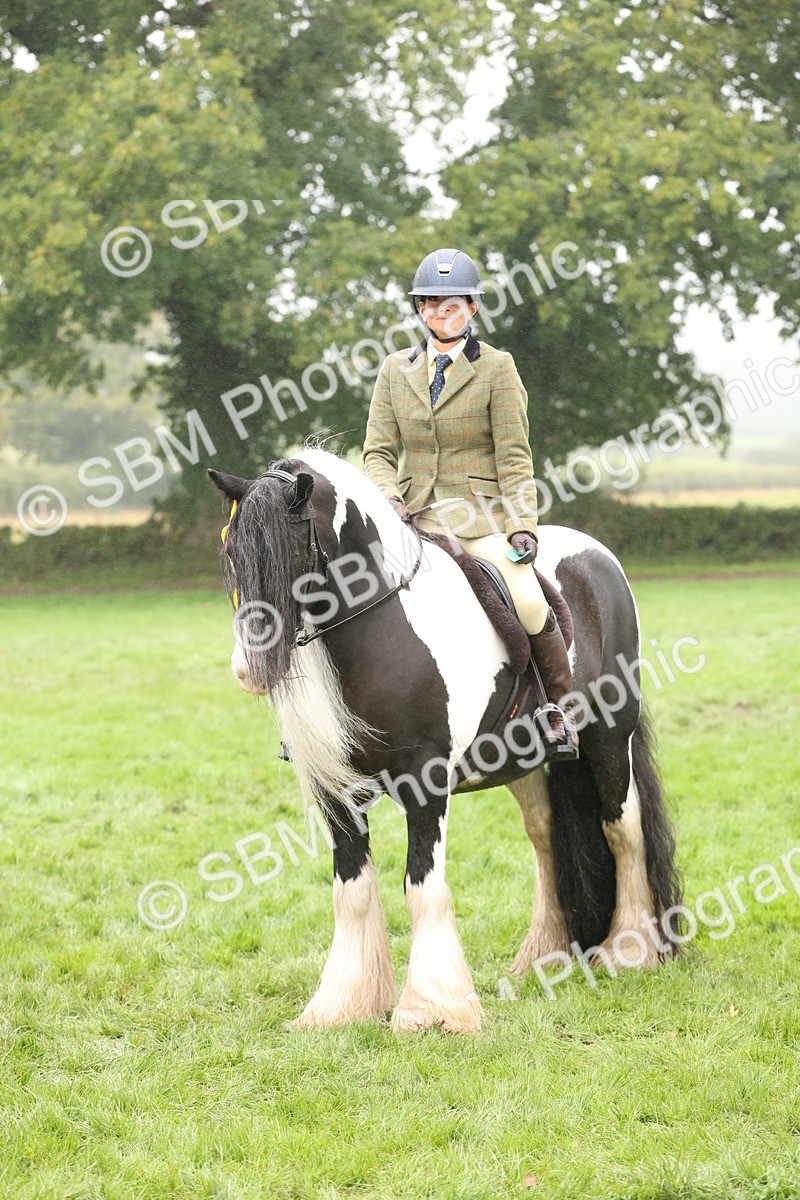 SBM_72859 - S70 - Traditional Cob Ridden