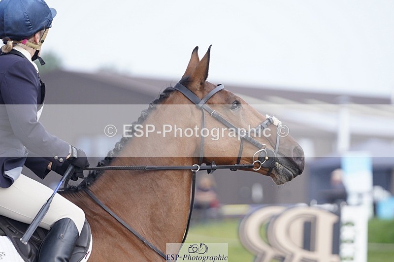 240831A-101144-00191 - 007-Carolyn.Price-I.WISH.ANDY