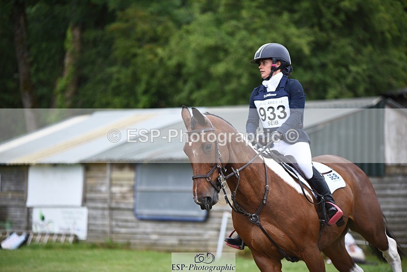 240630-122817-00775 - 933-Emily_Dobson-Banksy_III