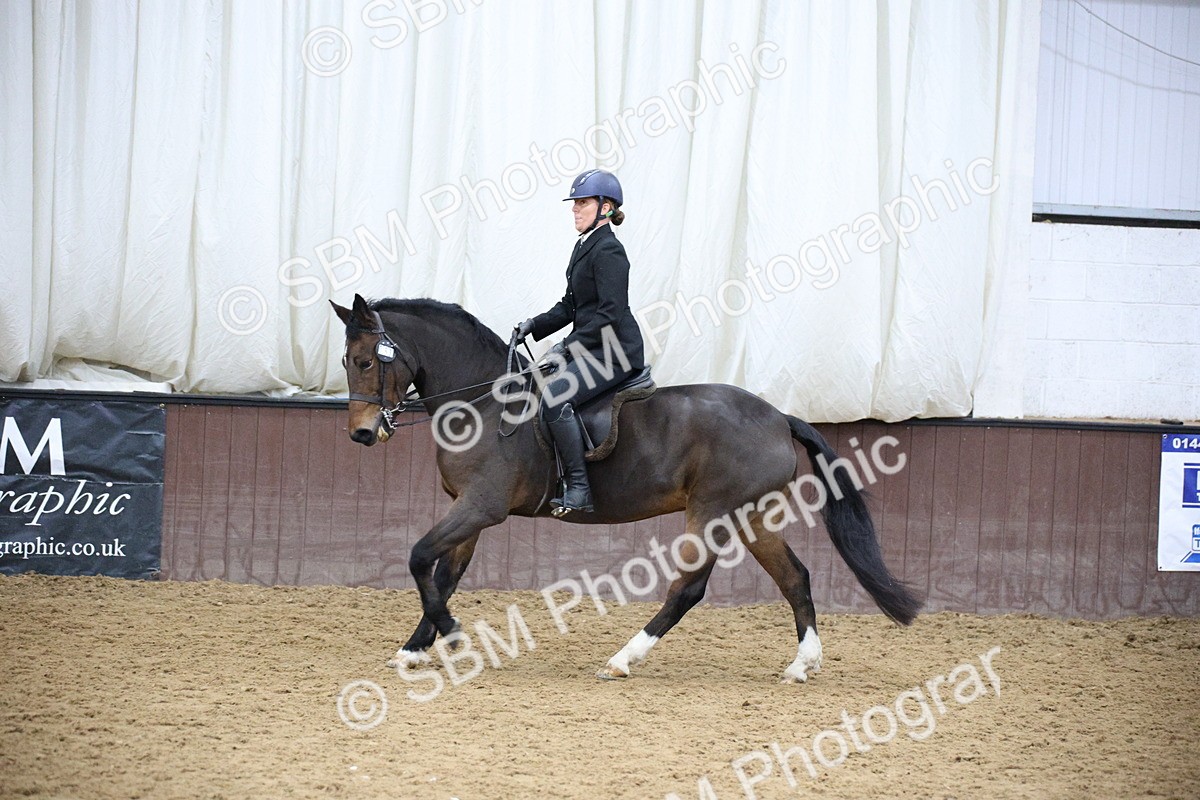 5K7A6085 - Class 48 - Ridden Mare