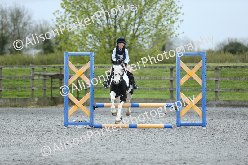 20260412-1841 - Show Jumping