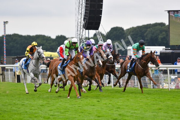 yr24072021r5-42 - Race 5 4.25pm Sky Bet Best Odds Guaranteed Stakes