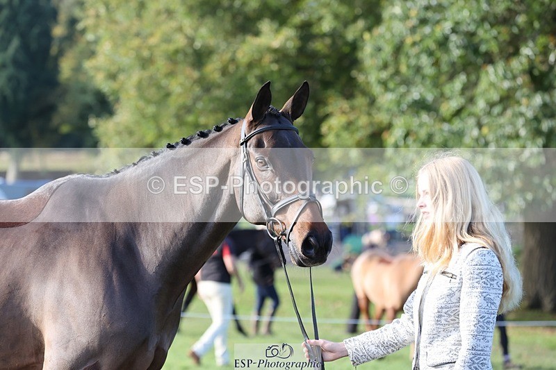 241027-102543-15883 - 548-Fenella.Redvers-DANCING.PADDE