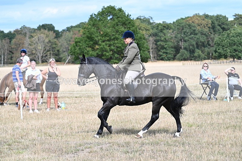 WJ7_6149 - Class 13 Ridden Veterans