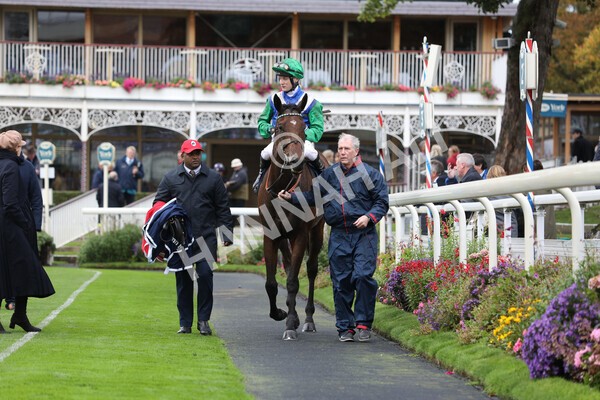 yr07102022r2-31 - Race 2 2.40pm William Hill Autumn Mile