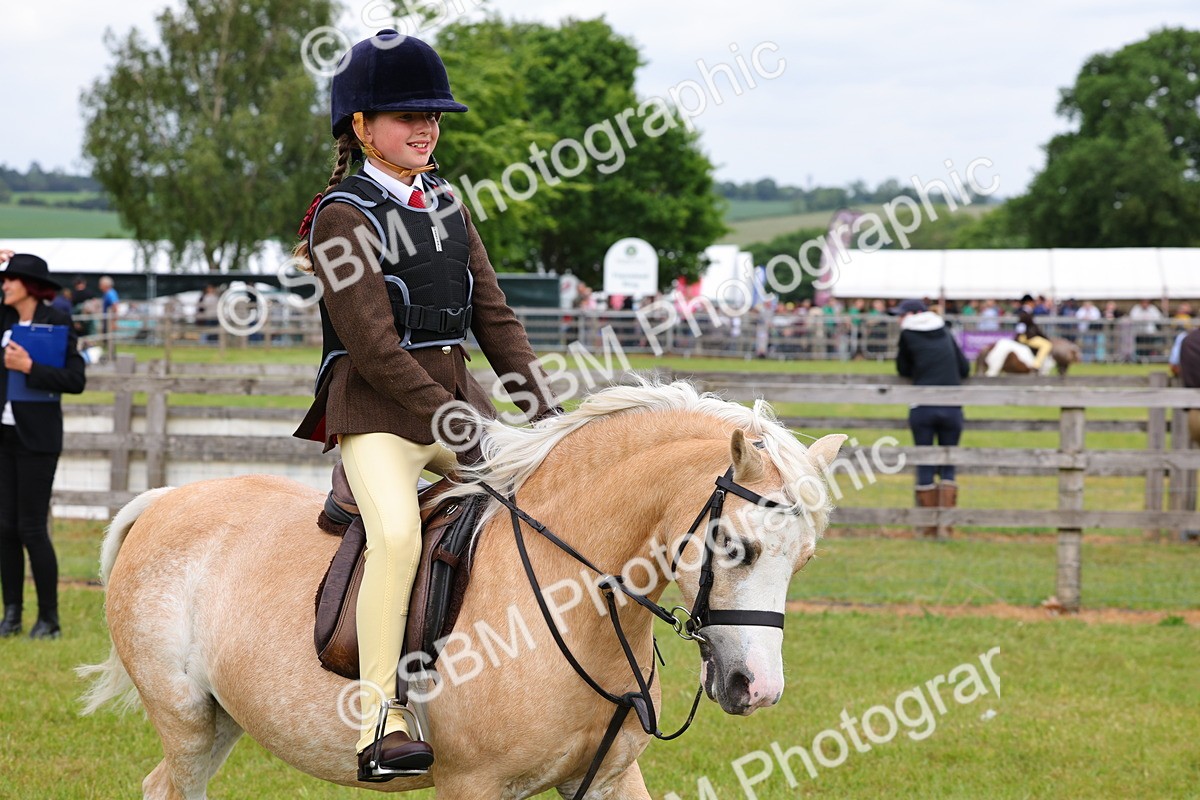 SBM_08556 - Class 42-43 - LIHS BSPS Heritage Working Sports Pony