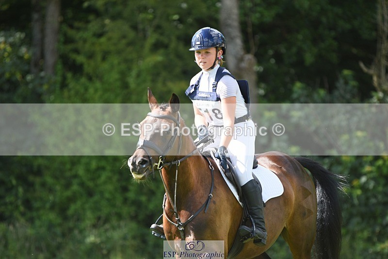 230625-163130-07338 - SJ80 15.50 to 16.50