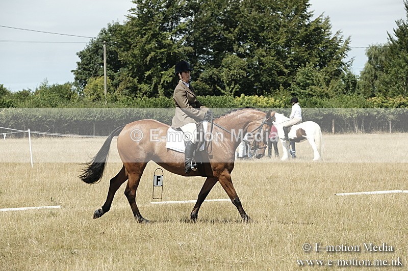 _PJP5840 - Dressage Classes BVRC Show 2018