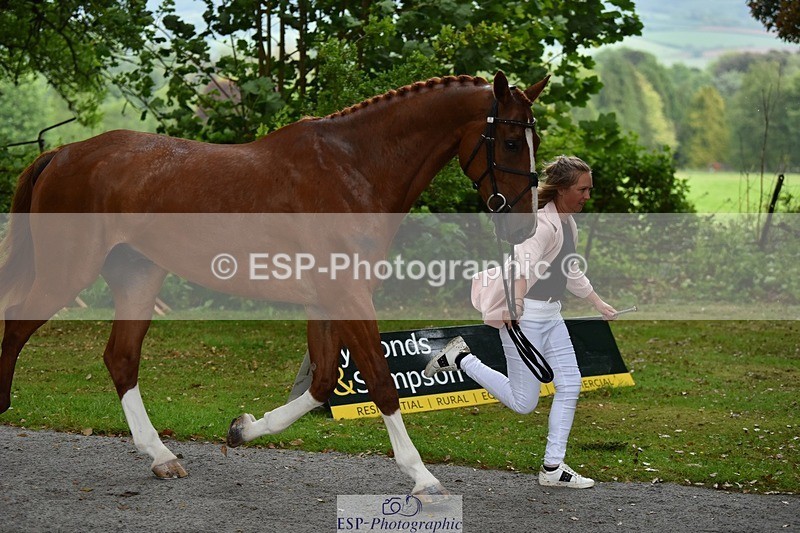 240522-151154-00159 - 312-DALOUBET_MANSOLEIN_Z-Kat_Raybould