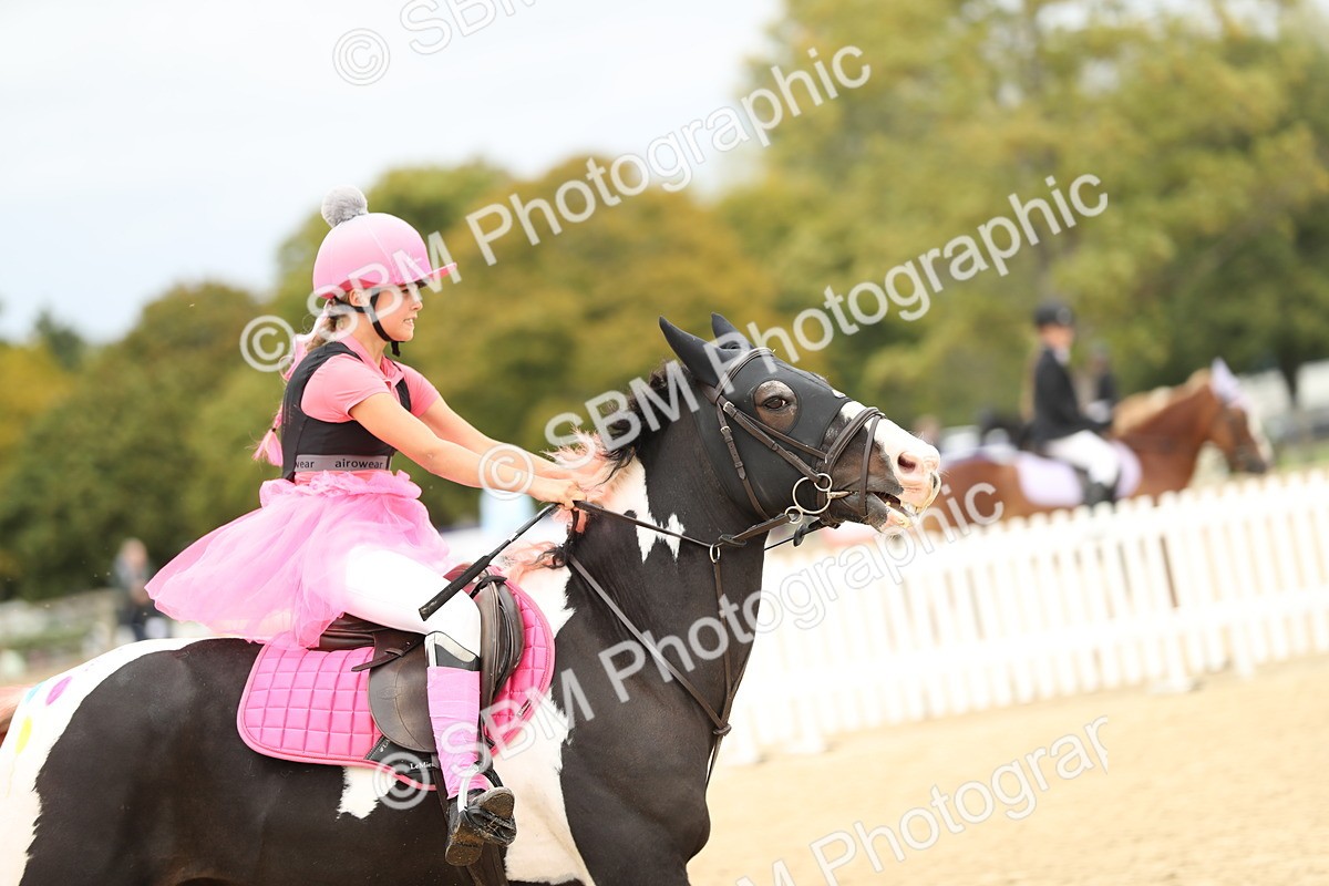 SBM_65631 - J48 - Pairs Jumping Open 70cm & 85cm