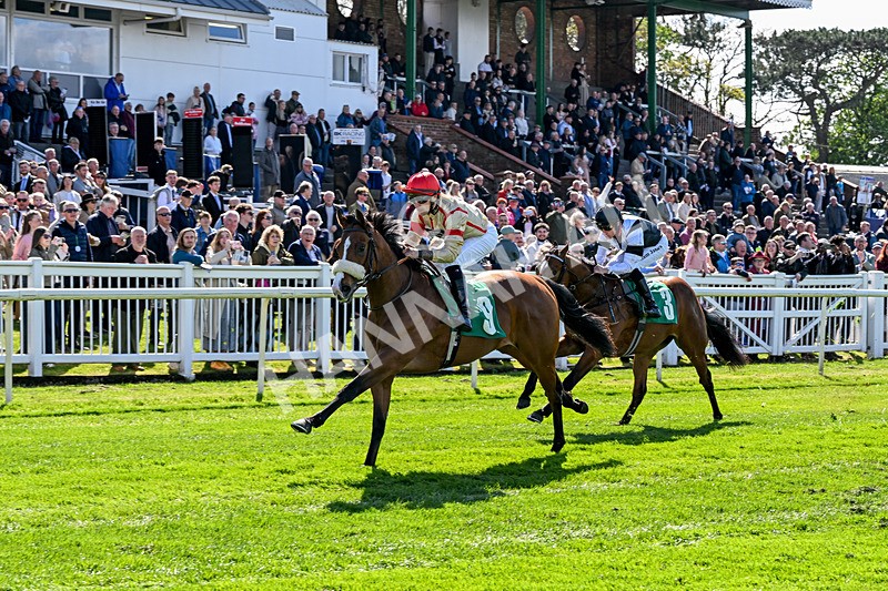 100426-Race 1-Where Love Lives-2617 - Race 1