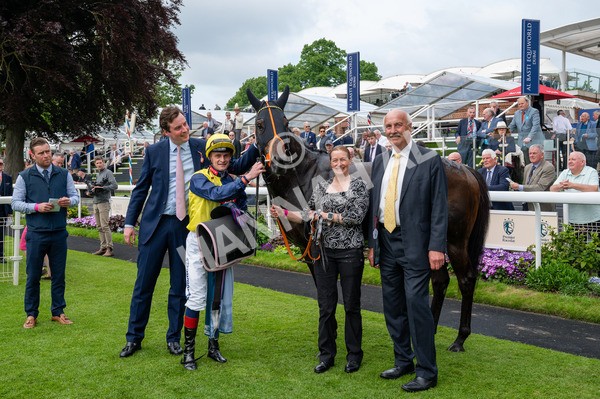160524-Race 2-Point Lynas-7821 - Race 2 2.45pm Oakmere Homes Hambleton Handicap