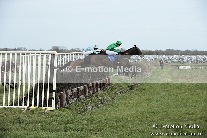 PtP 230319 178 - VWH Hunt Siddington Point-to-Point Racing 23/03/19