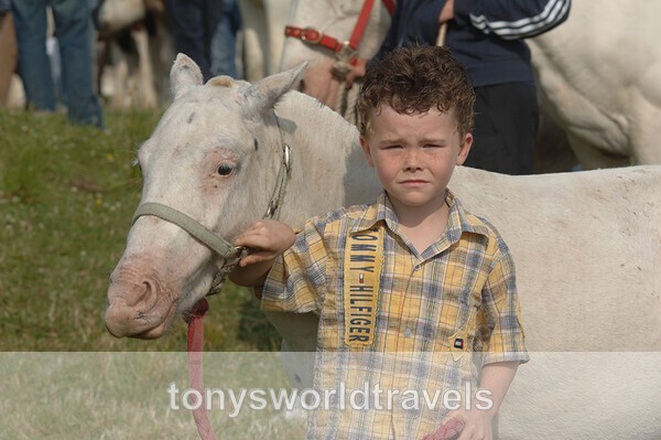 Young boy with his pony, Horse Fair, Ireland - Children