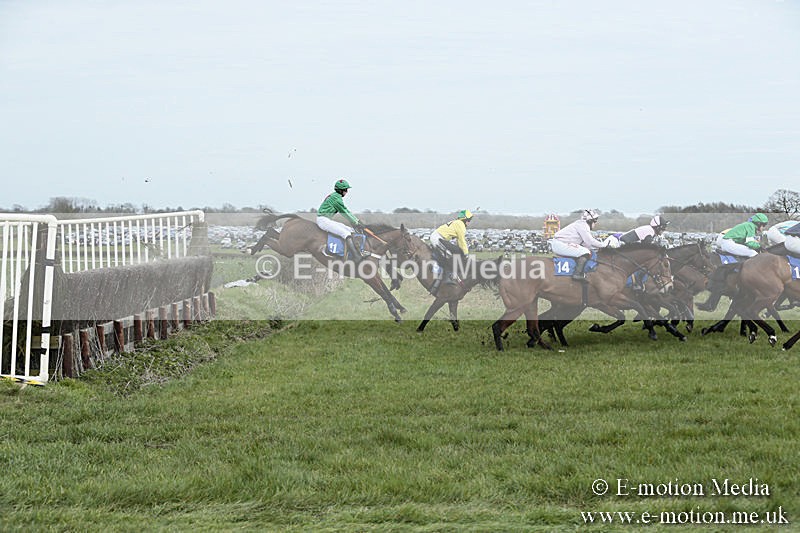 PtP 230319 163 - VWH Hunt Siddington Point-to-Point Racing 23/03/19
