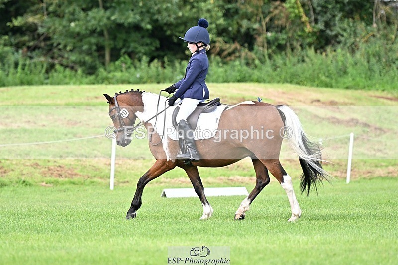 230826-102759-16533 - Sections A & B 10 to End