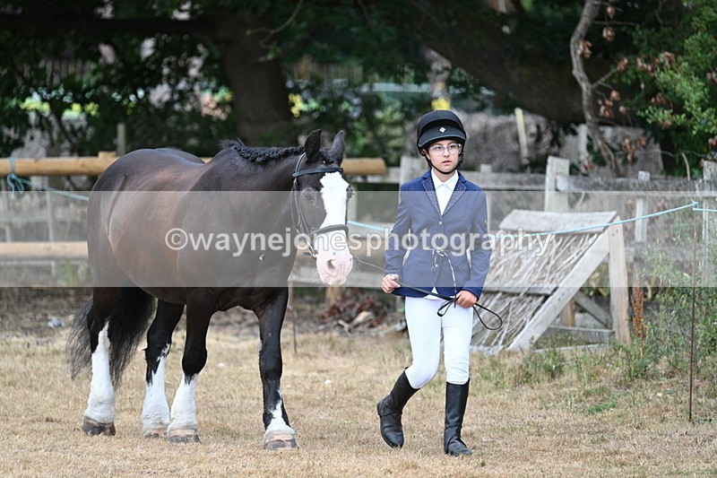 WJ7_9434 - Class 5 Most Handsome Gelding (up to 14.2hh)