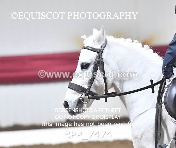 BPP_7474 - INTRO TEST 1