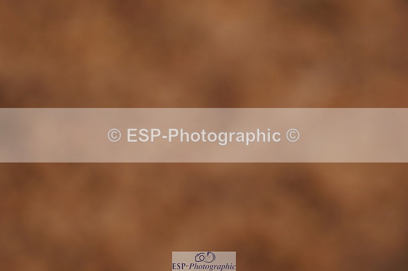 240628A-182938-00775 - Cls 3 1m Open