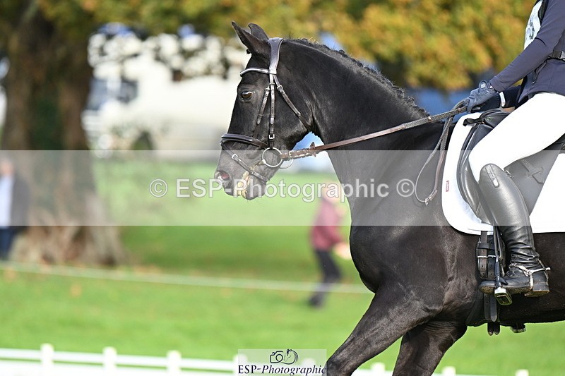 251023A-102334-02479 - G-505-Sarah.Amos