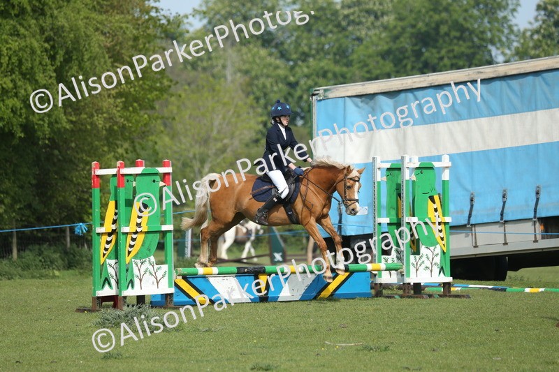 20260426-0245 - Class 13 - Rookie Jumping 50cm