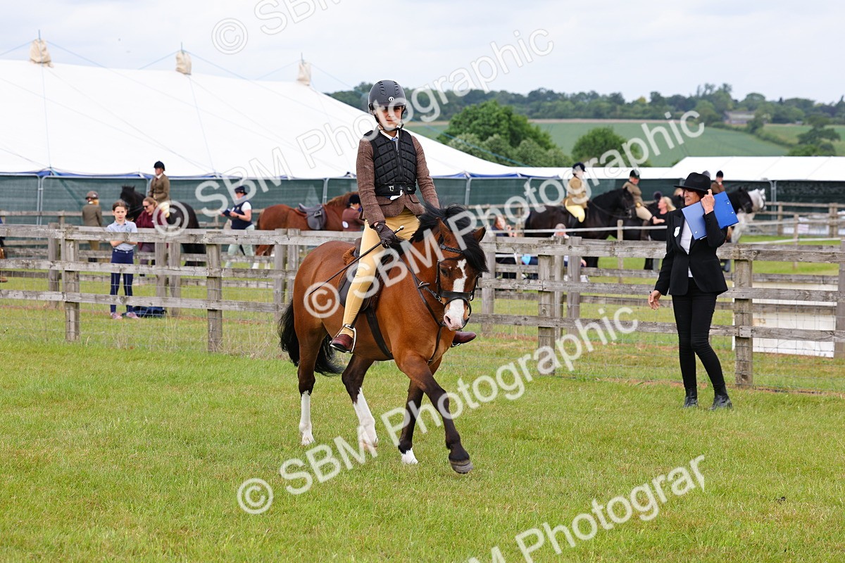 SBM_08558 - Class 42-43 - LIHS BSPS Heritage Working Sports Pony