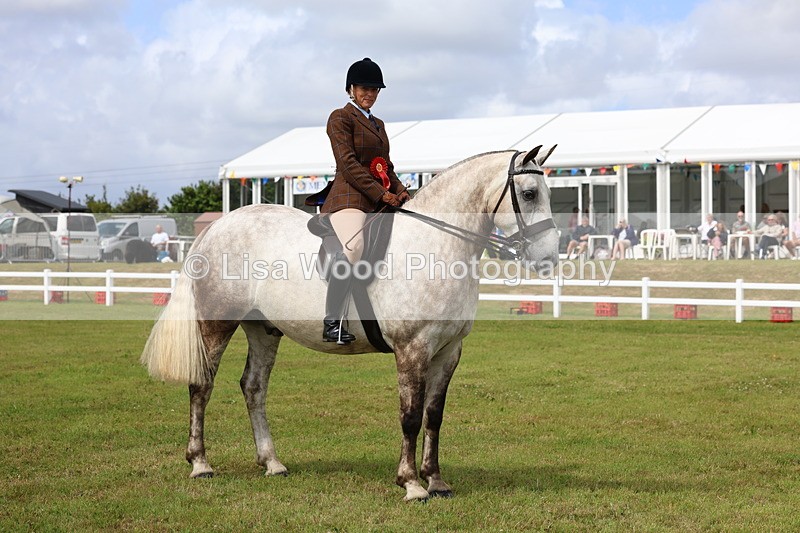 3E7A0416 - Class 6: Rising Star Maxi Cobs