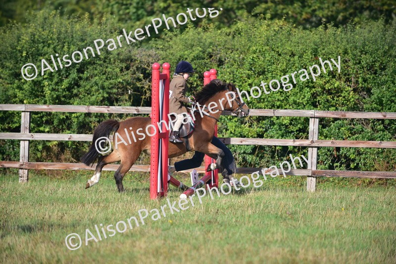 20260906-0442 - Class 6 - Minimus Jumping
