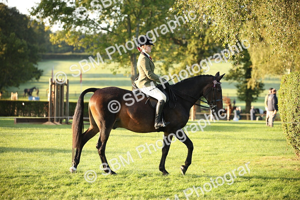 SBM_32265 - S8 - Best Turned Out