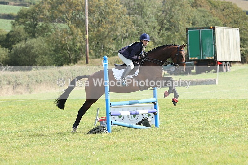 JPP_8551 - Class 2: Trekenning: 80cm Showjumping