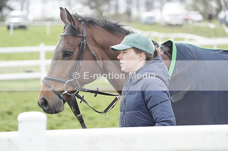 PtP 260323 0432 - New Forest Hounds Point-to-Point Larkhill 26/03/23