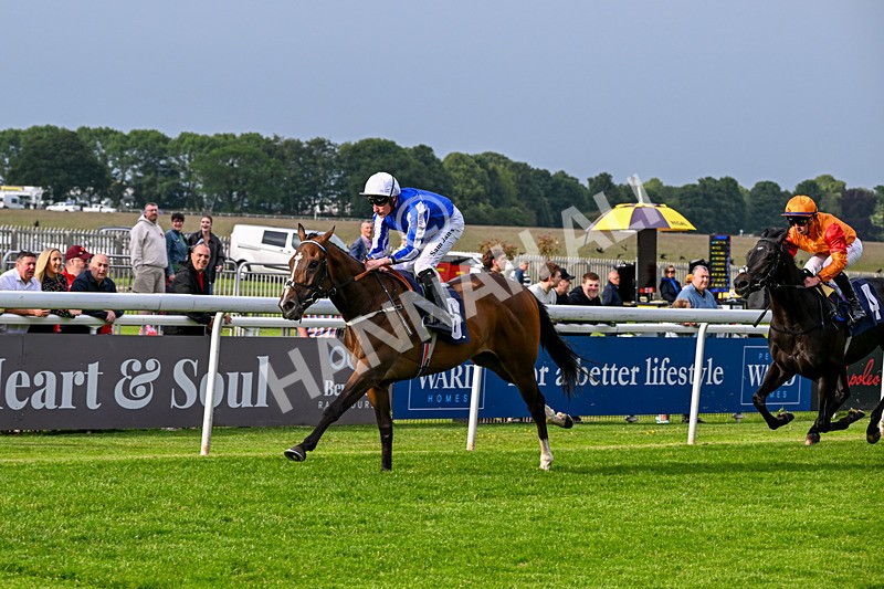 160626-Race 1-Waasil-3186 - Race 1 18.30pm Napoleons Casino Hull Dine In Style From £35 EBF Novice Stakes