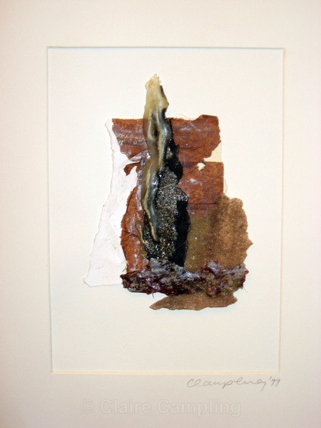 Organic collage 6 (1998) - Organic Series