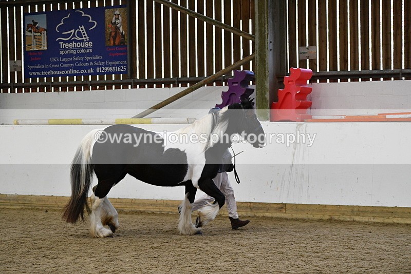 WJ5_5009 - Class 7 In hand coloured / odd coloured