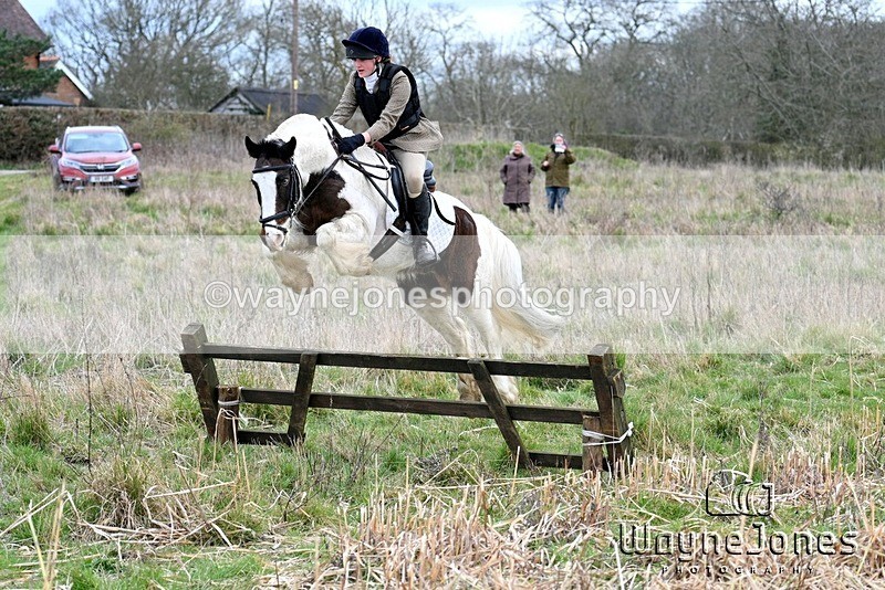 WJ7_7033 - Edited examples