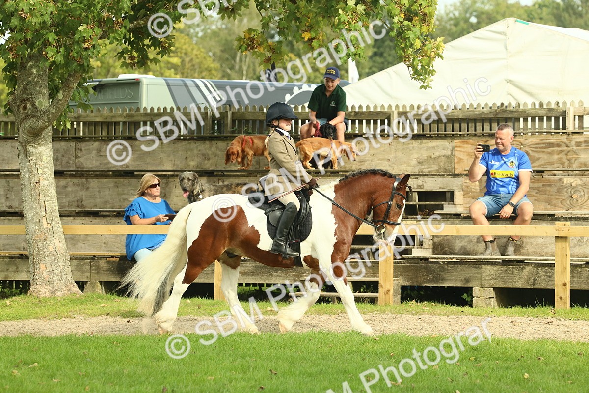 SBM_68189 - S58 - Mini Show Cob Ridden