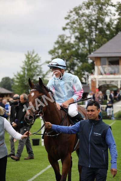 yr18082022r6-51 - Race 6 4.45 pm OR8wellness ebfstallions Nursery Handicap