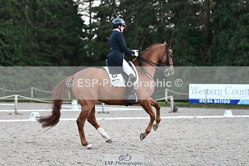 231110-164029-02727 - Cls 14 FEI Grand Prix