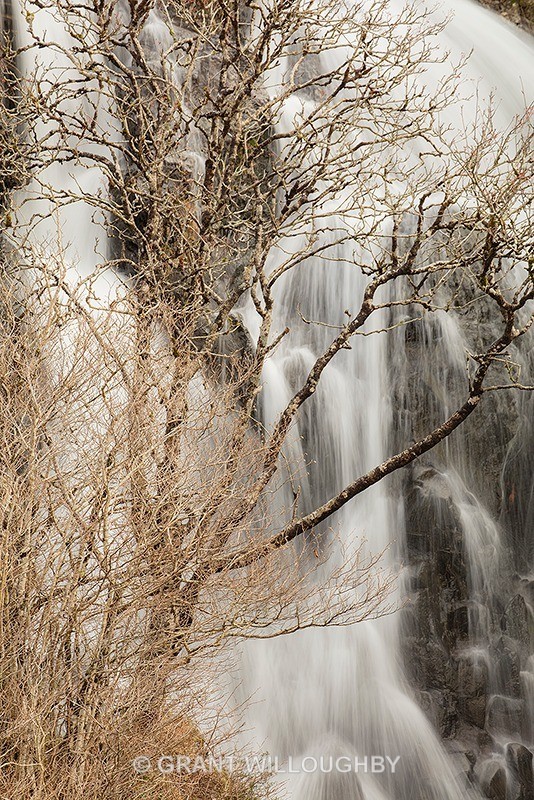  - Vertical Images