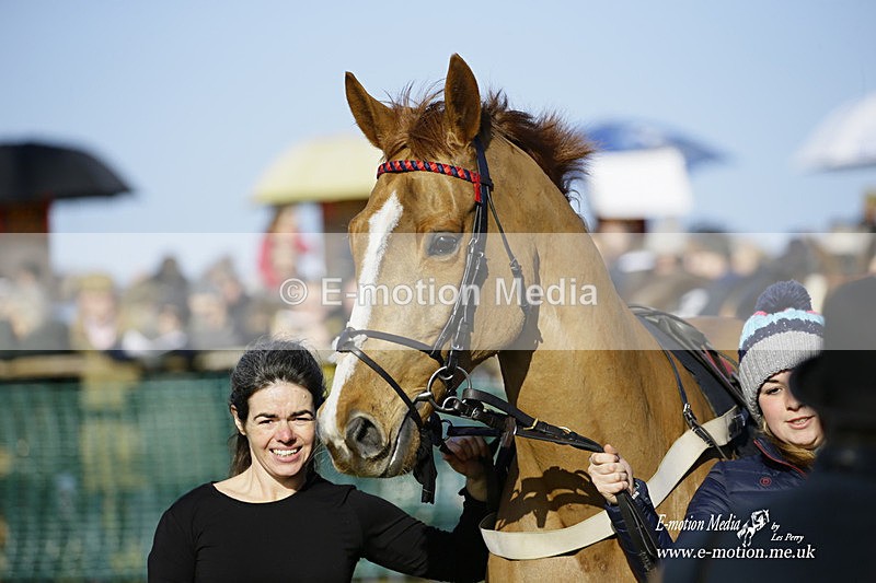 PtP 300122 56 - South Dorset Hunt - Point-to-Point Races 30/01/2022