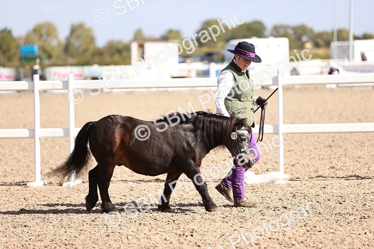 SBM_22794 - Class 705 - IH Combination 65+