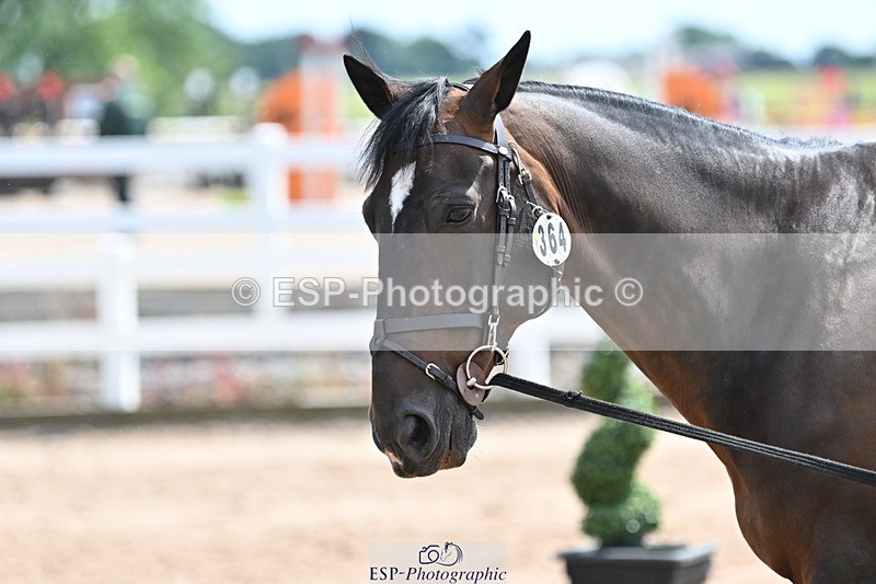 240717A-145250-02366 - Trot Up 2pm to 3pm - This folder is not in time order