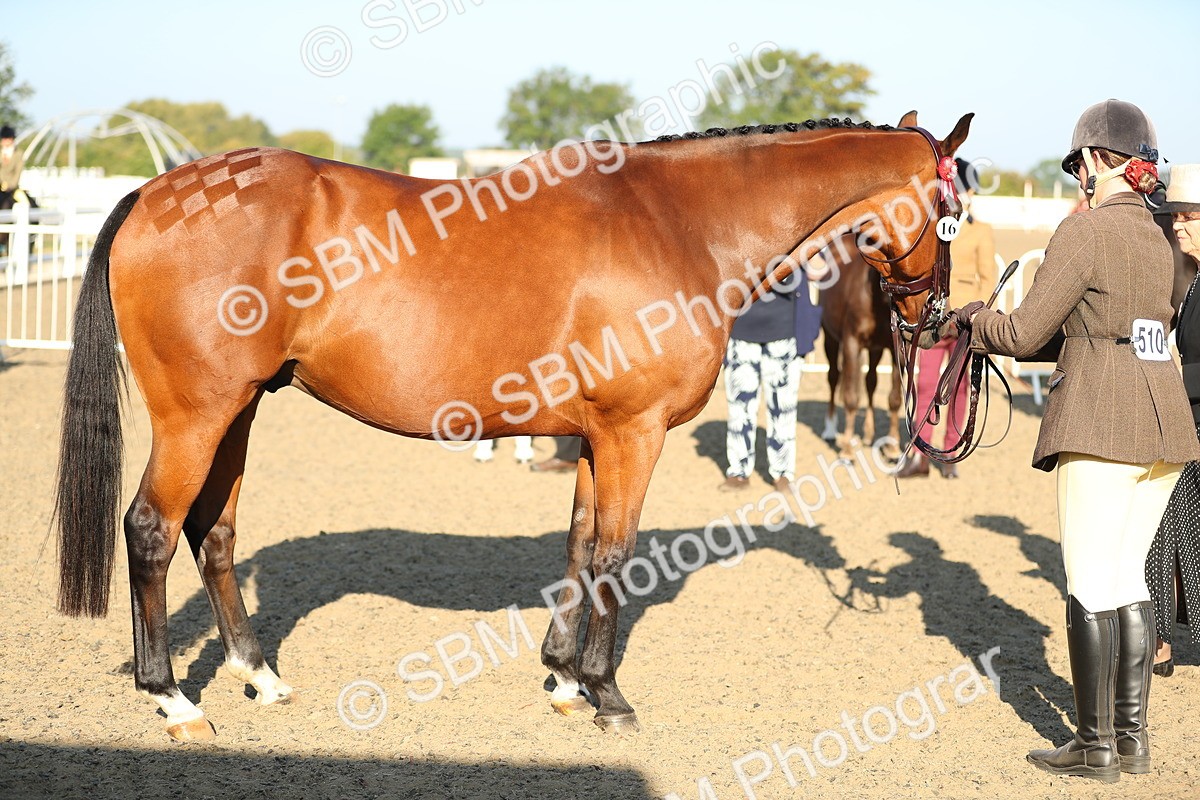 SBM_00028 - Class 40 Best Turned Out IH